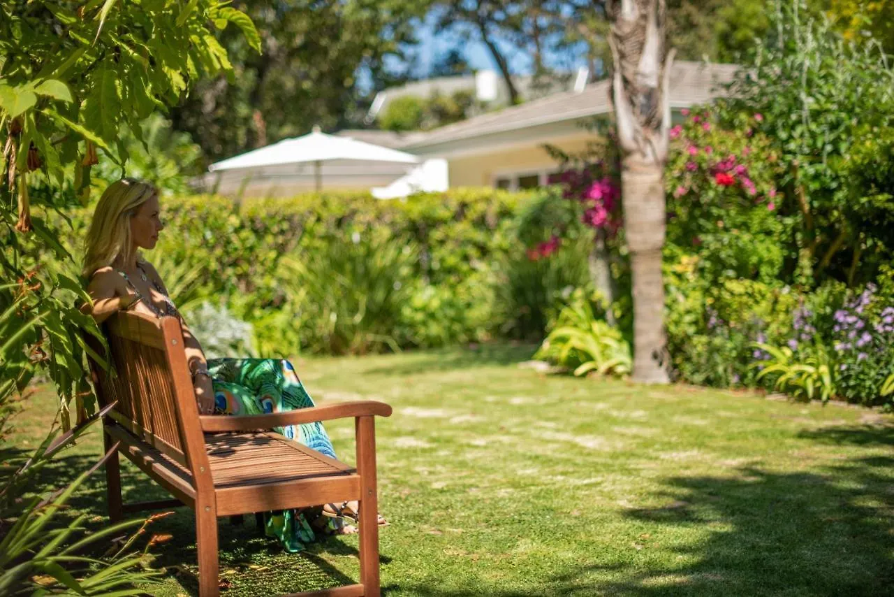 Last Word Constantia Cape Town Guest house
